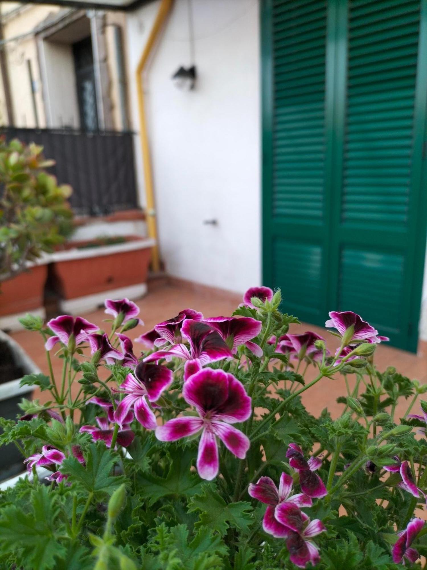 Ciuridda Mia Apartamento Palermo Exterior foto