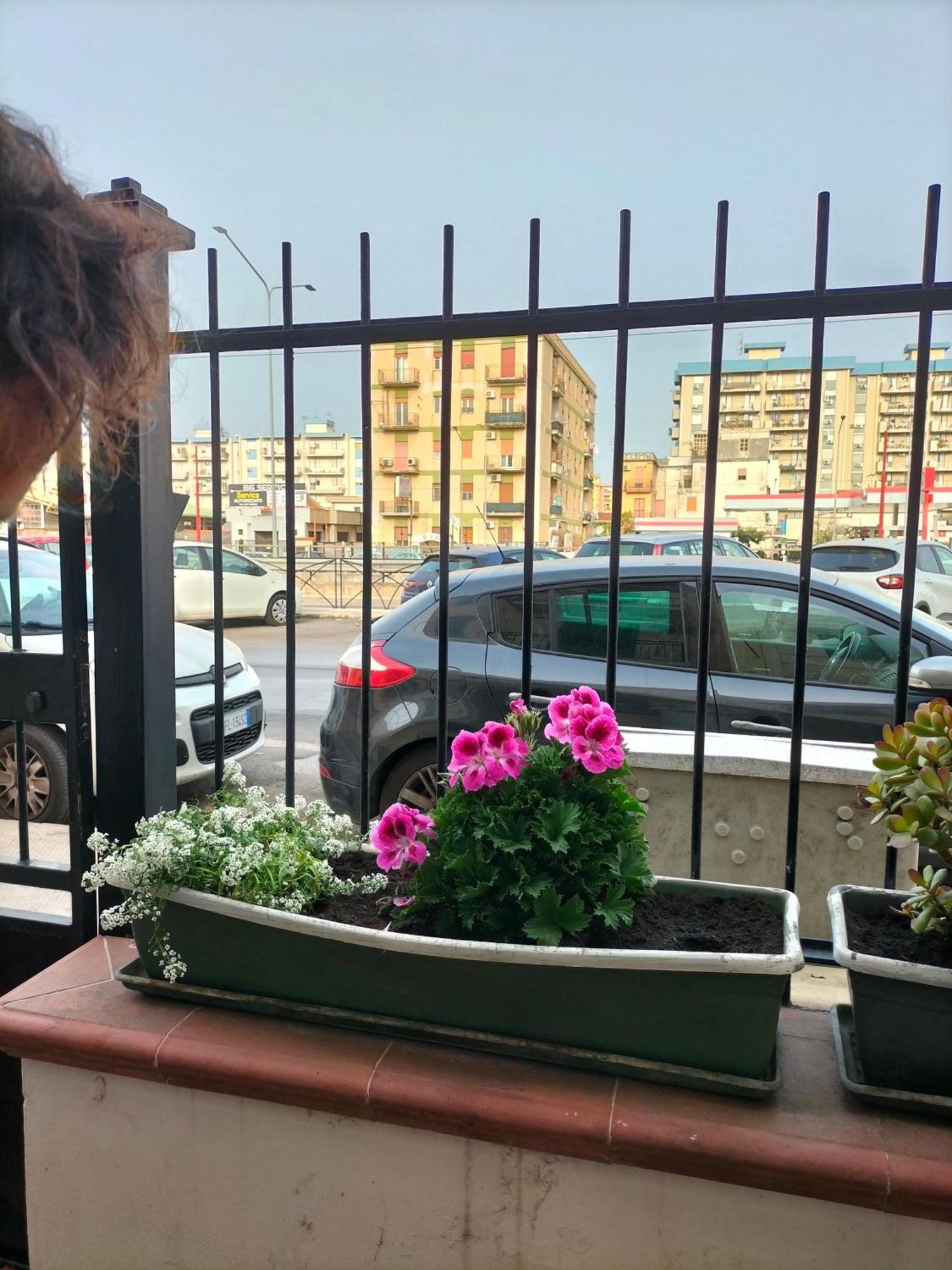 Ciuridda Mia Apartamento Palermo Exterior foto