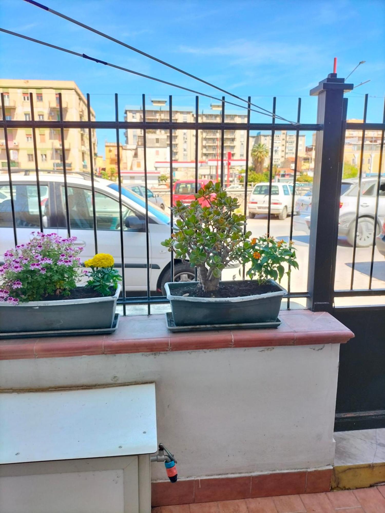 Ciuridda Mia Apartamento Palermo Exterior foto